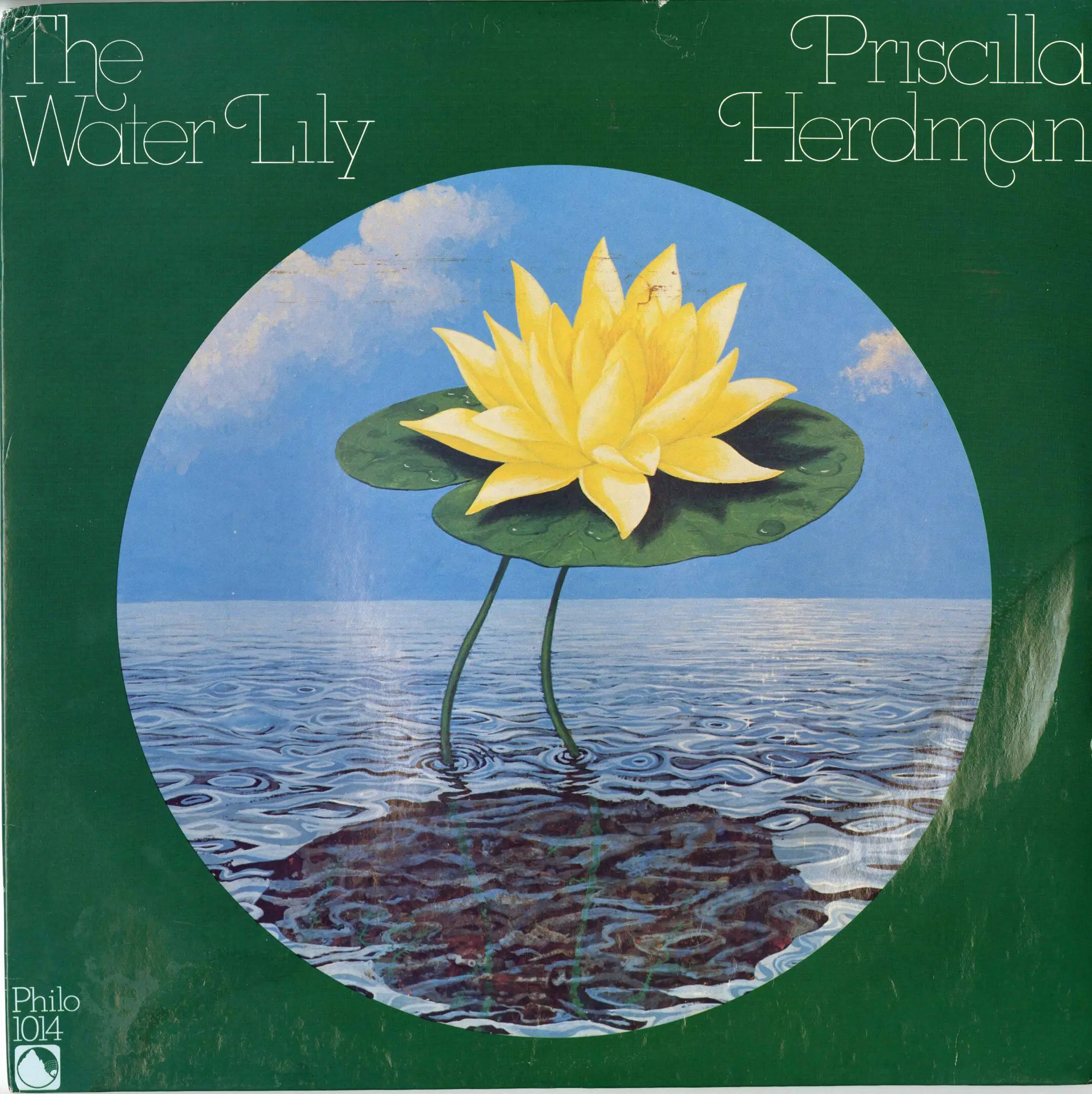 Yellow water lily on peaceful water surface.