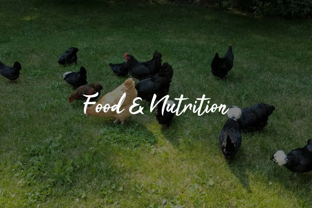 Chickens grazing on grass, "Food & Nutrition".