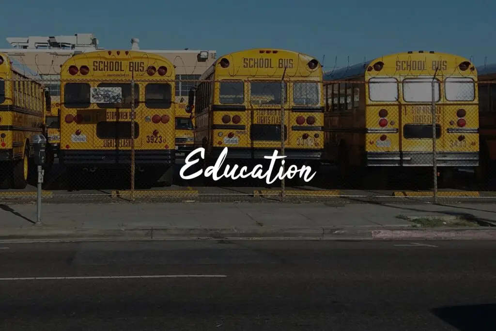 Yellow school buses parked in a row.