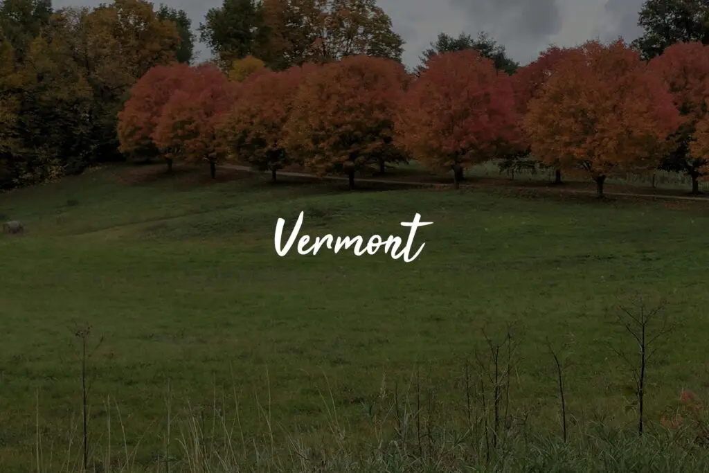 Autumn trees in Vermont with green field.