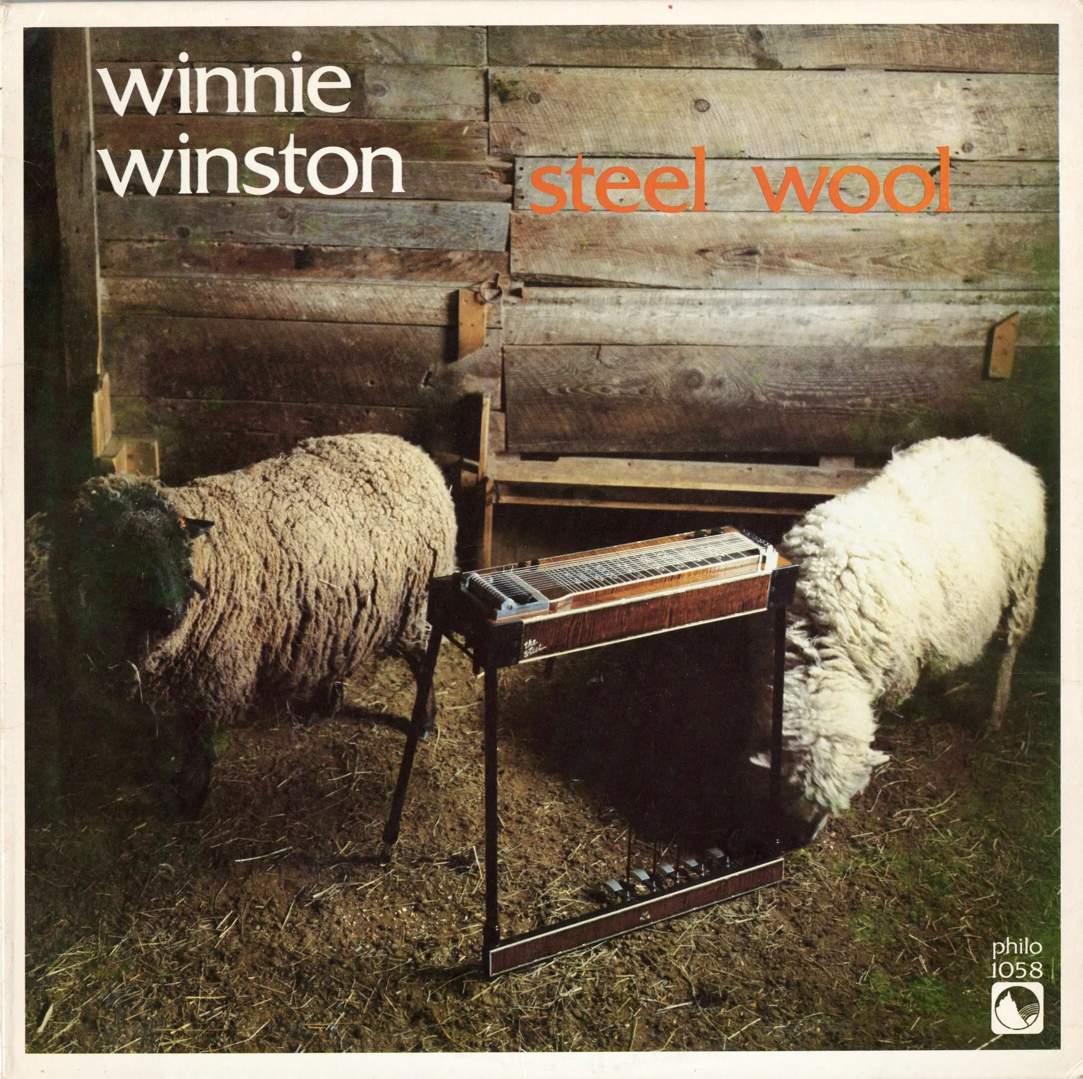 Sheep and pedal steel guitar in barn.