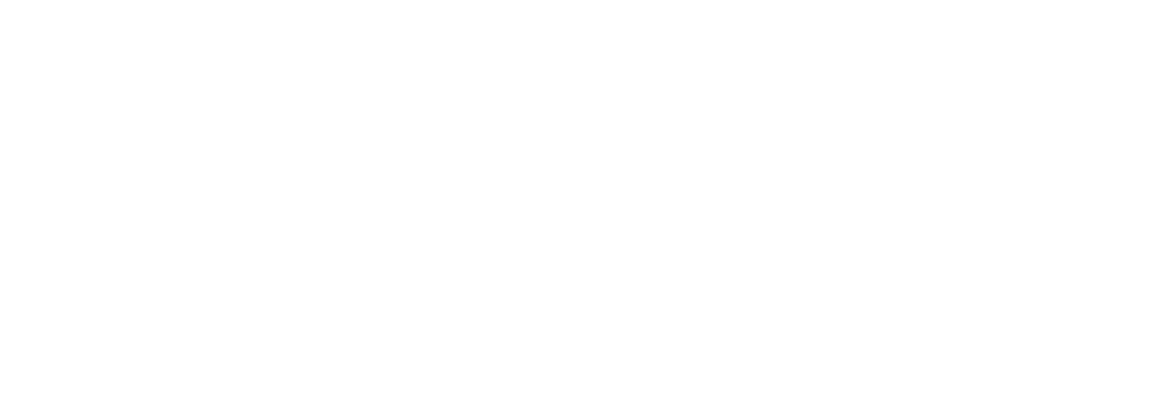 A logo with the word 'Schub' and 'Literary Fi' beneath it.