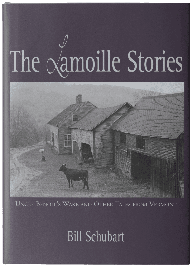 Book cover of "The Lamoille Stories".