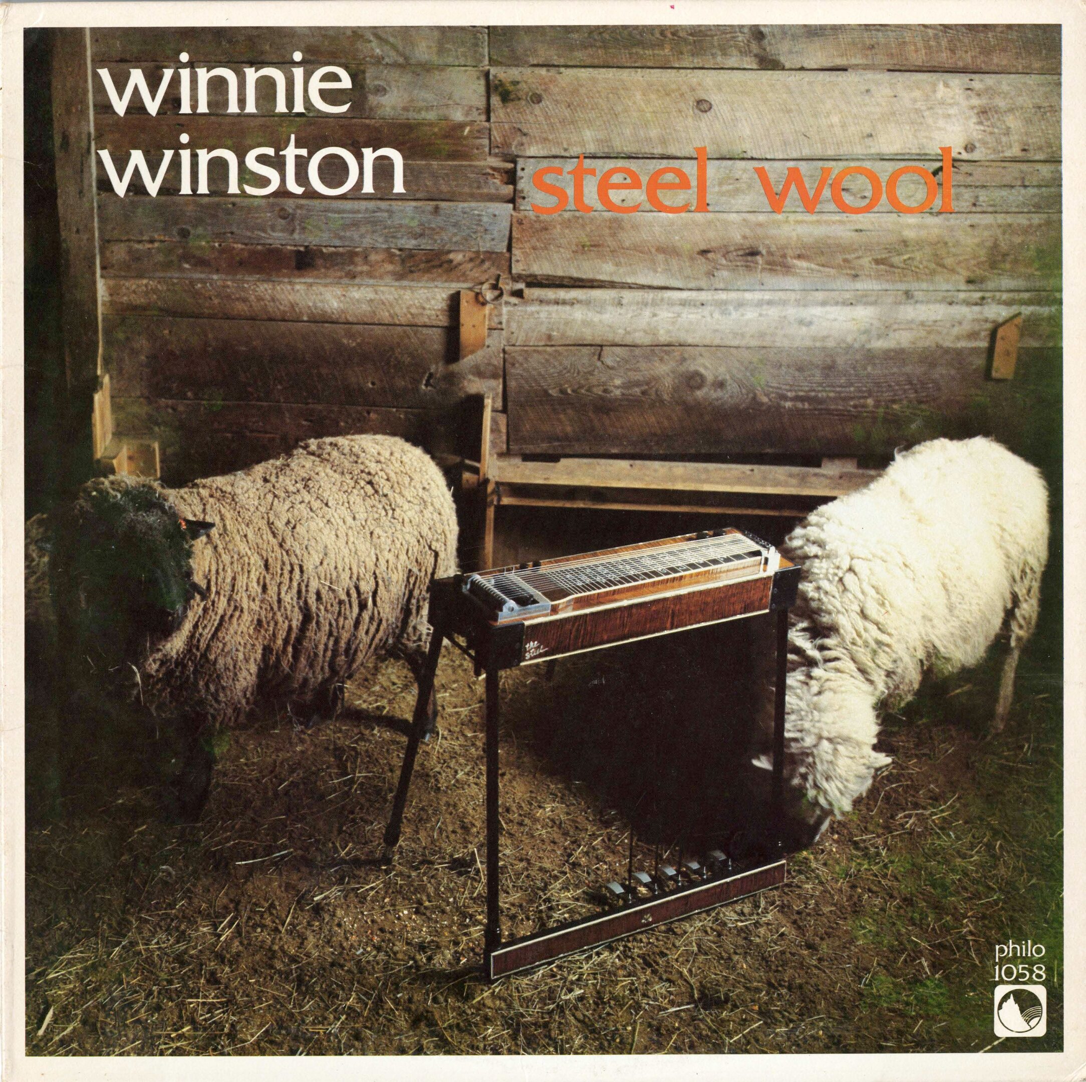Sheep and pedal steel guitar in barn.