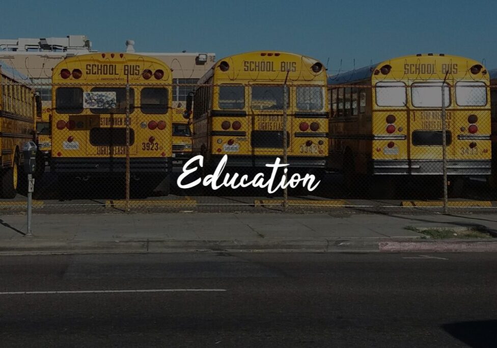 Yellow school buses parked in a row. Yellow school buses parked in a row.