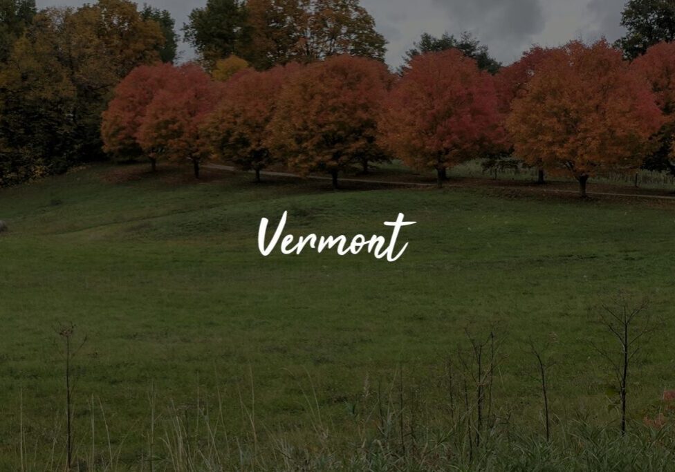 Autumn trees in Vermont with green field. Autumn trees in Vermont with green field.